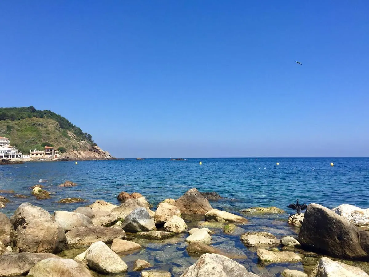 דירה פלאמוס Precios Apartament A Primera Linia De Mar ספרד